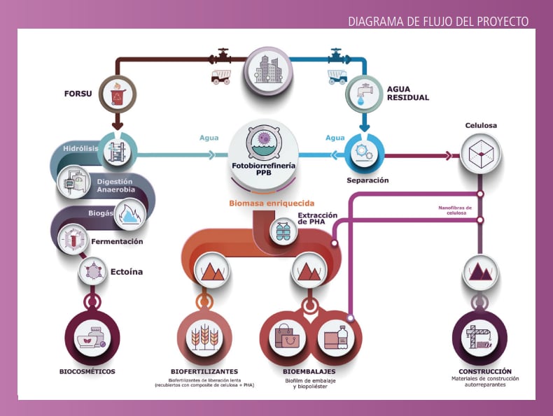 Proceso del tratamiento de aguas residuales en la fotobiorrefinería de Linares.