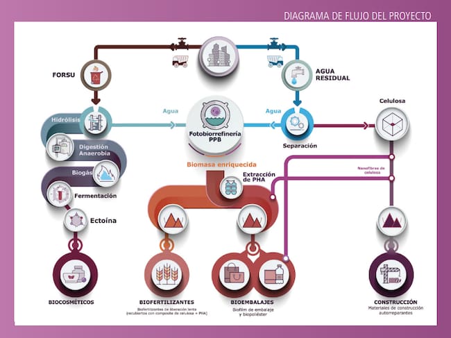 Proceso del tratamiento de aguas residuales en la fotobiorrefinería de Linares.