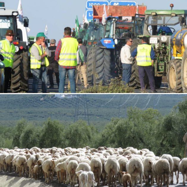 Protestas del sector agrario y ganadero durante 2020 reclamando precios justos