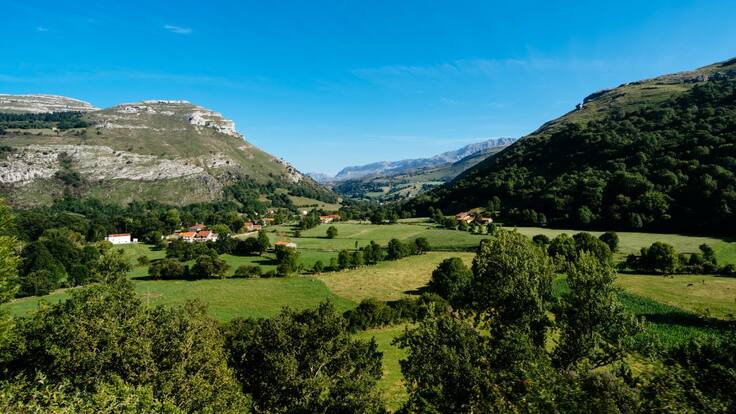 Carlos García, portavoz de ARCA (24/11/2020)