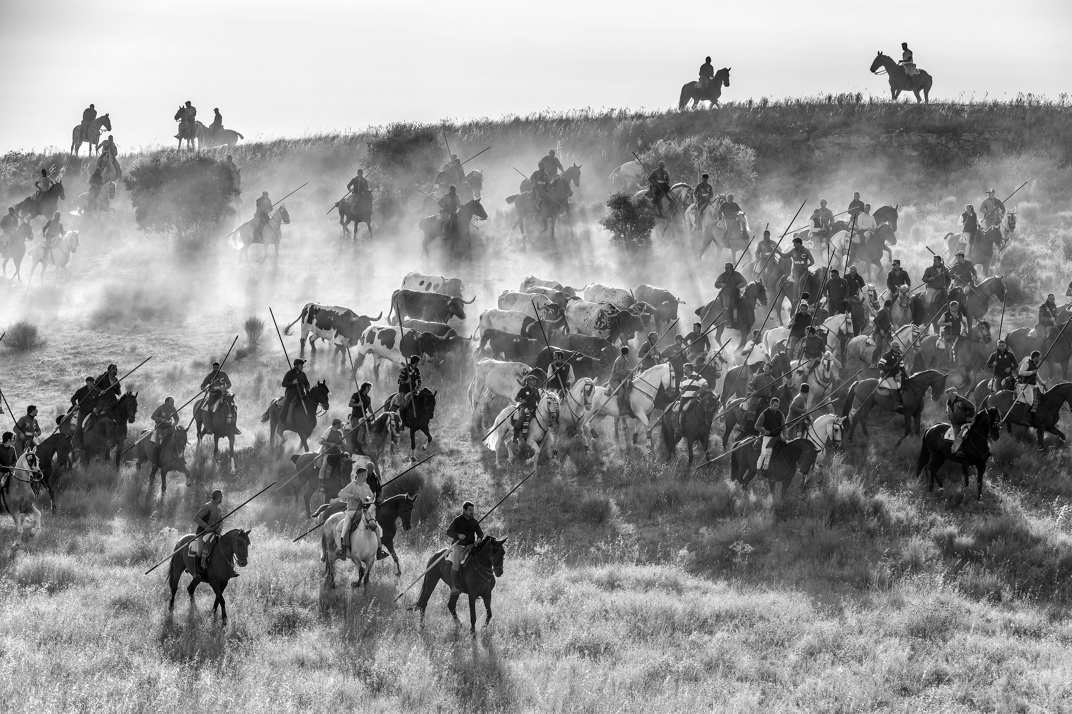 Tercer premio del XXXV Concurso Fotográfico Fiestas de Cuéllar 2023