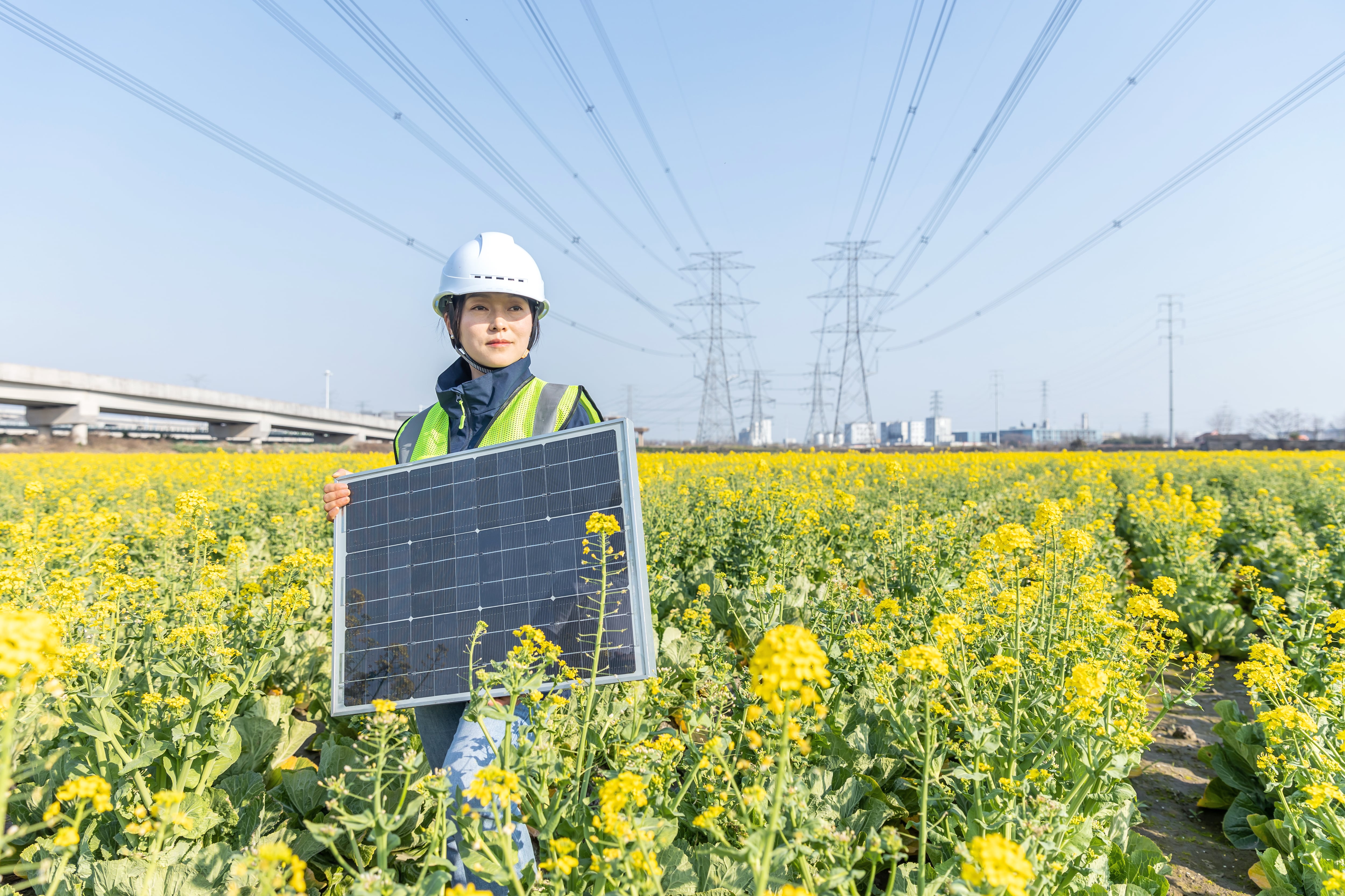 Female engineer holding solar panels working in the field