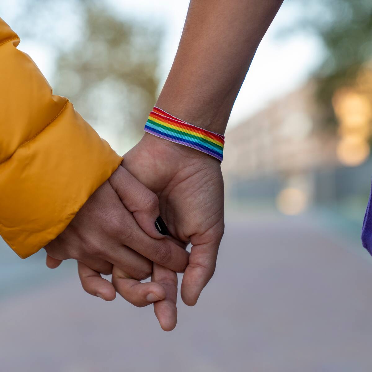 Las lesbianas reivindican su visibilidad bajo el lema "Lesbiana, bollera, tortillera"