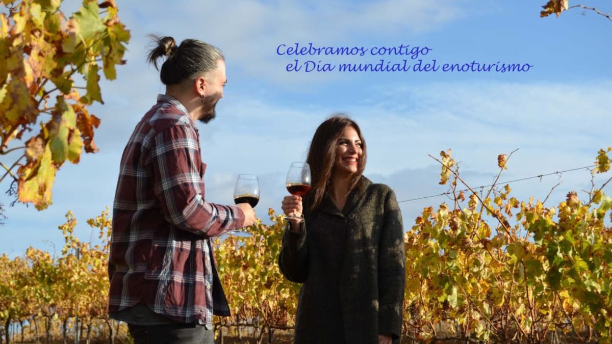 Entrevista con la técnica de la Ruta del Vino de Navarra, María Amatriain (10/11/2021)