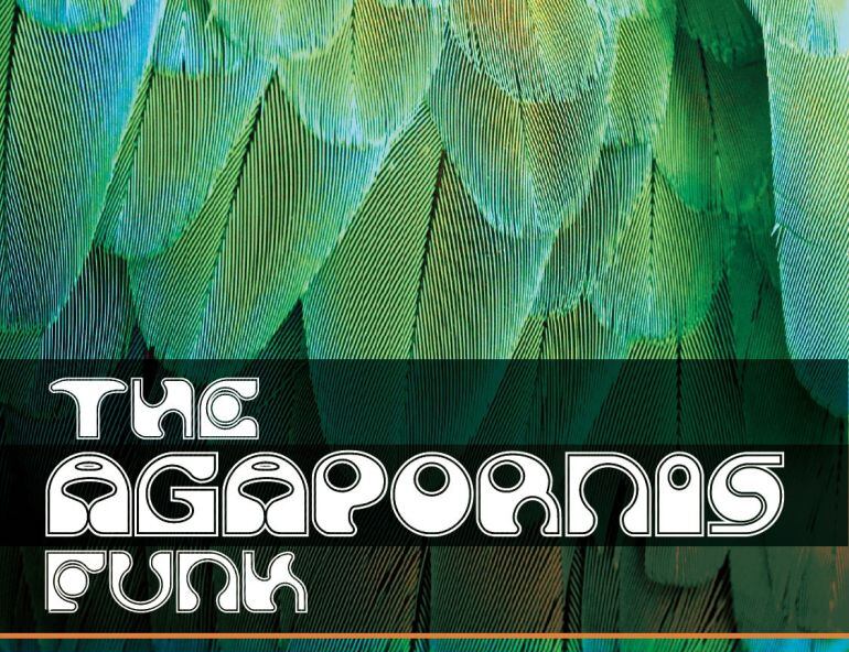 La música funk y soul de "The Agapornis" llega a Palencia de la mano de la Diputación Provincial