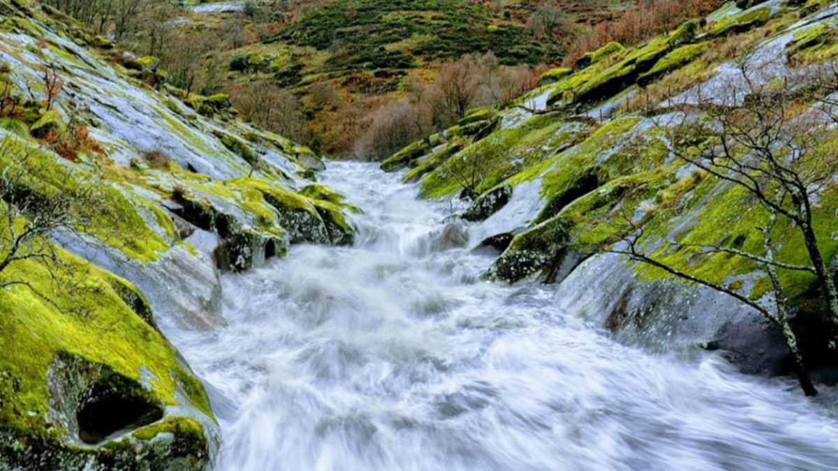 Actividades en Plasencia por el día mundial del Agua