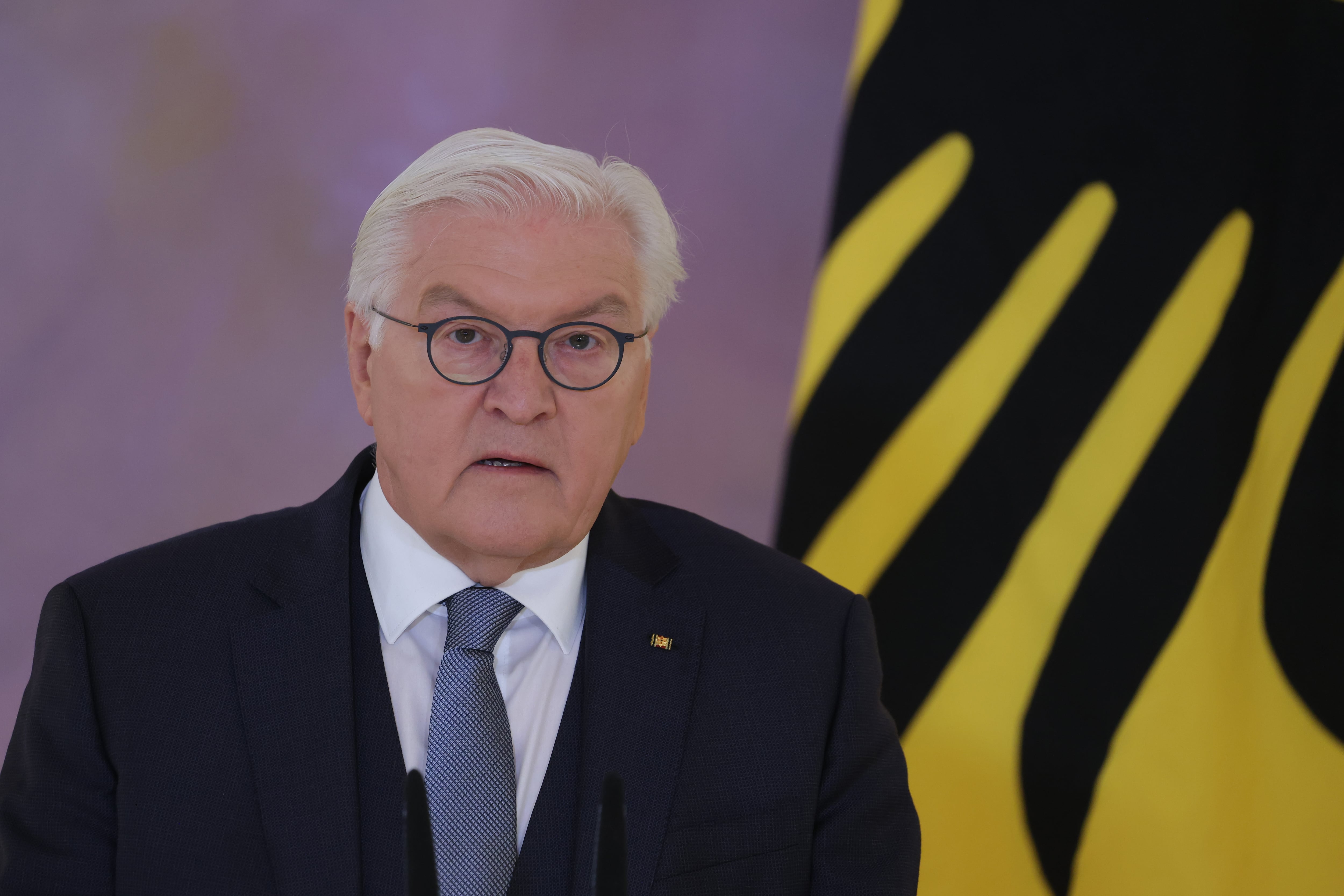 El presidente de Alemania, Frank-Walter Steinmeier, ha anunciado formalmente este viernes la disolución del Parlamento.