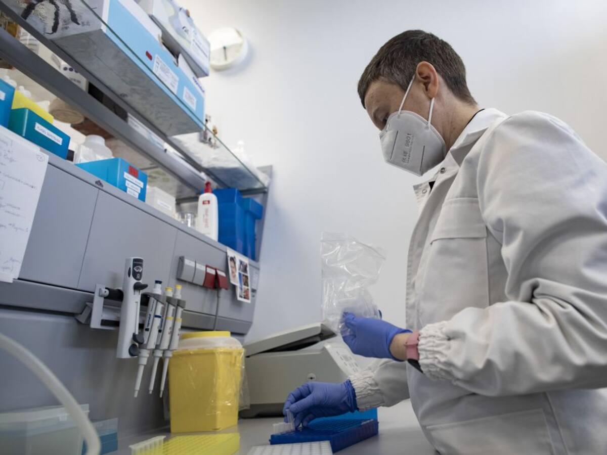 Extremadura registra en las últimas 24 horas 14 positivos y tres fallecidos