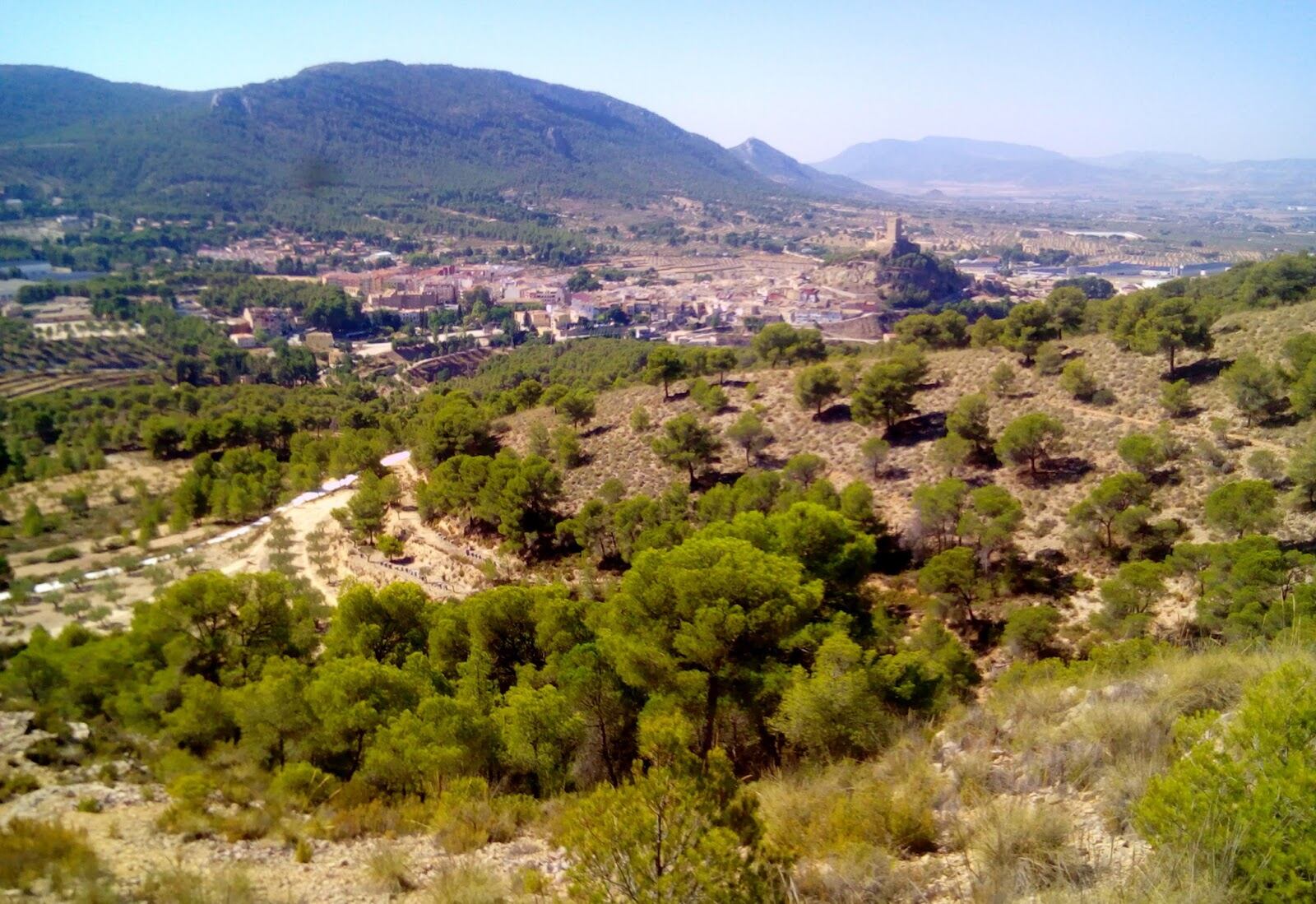 Término municipal de Biar