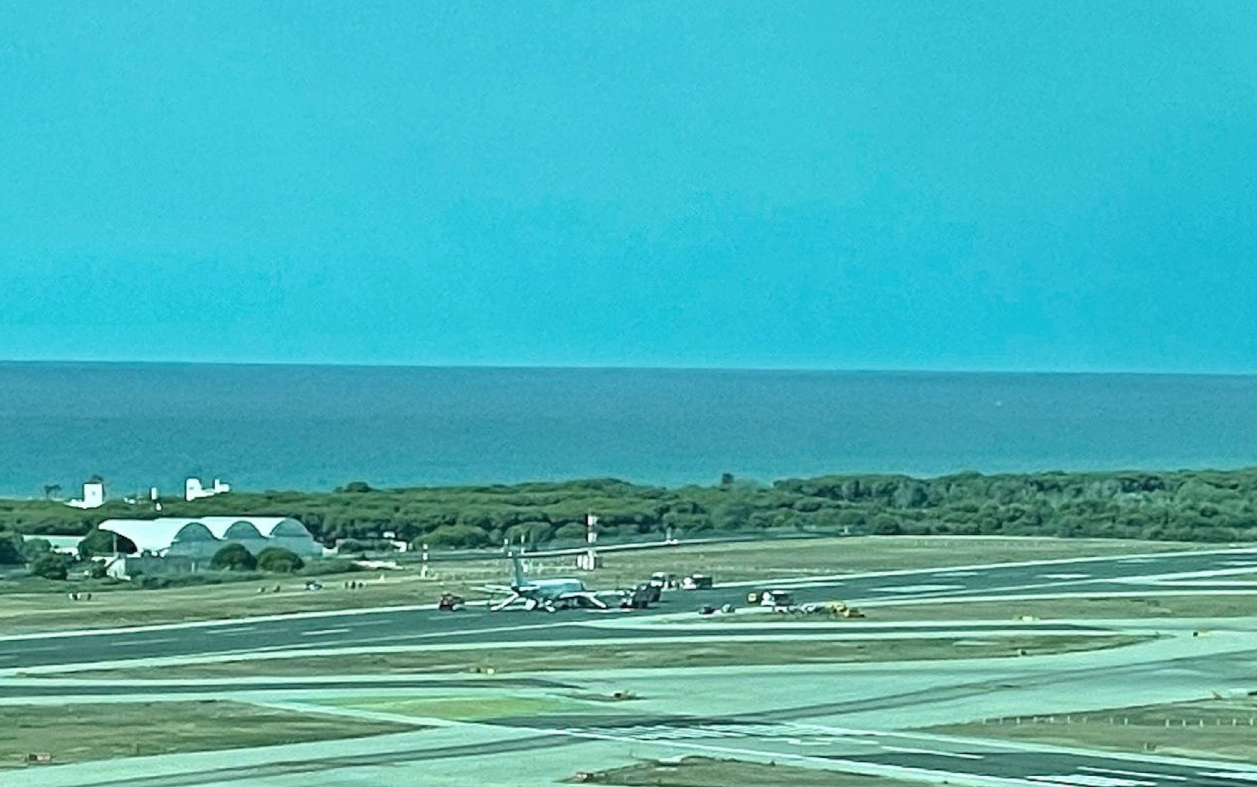 Imatge de l'avió que ha hagut d'avortar l'enlairament a l'aeroport del Prat pel xoc amb un ocell.