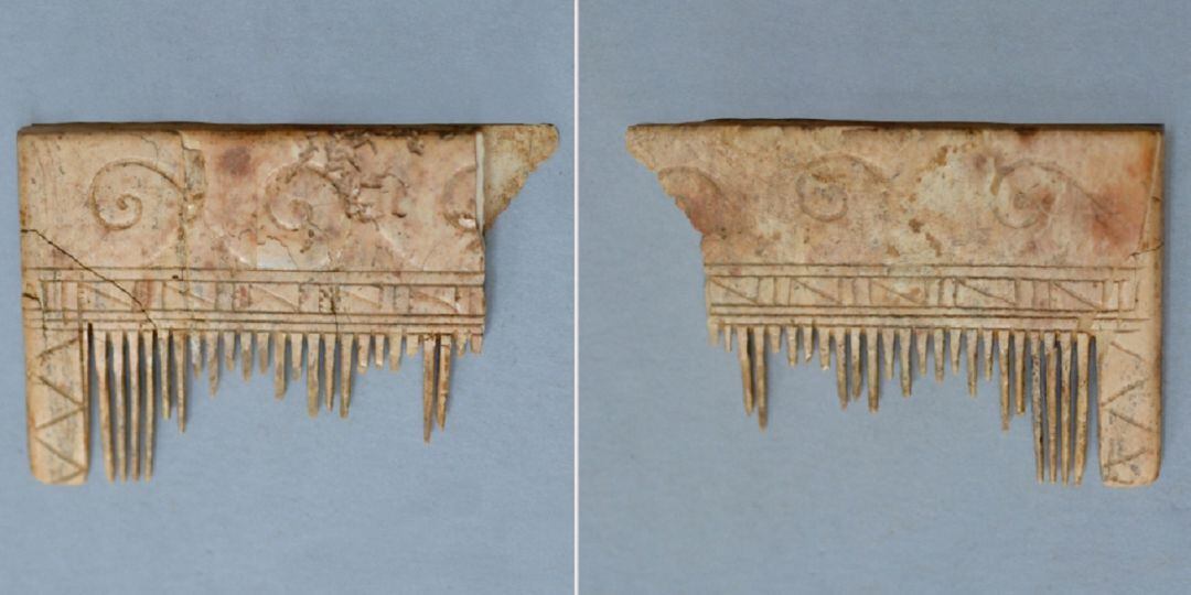 Pinta d'ivori d'elefant