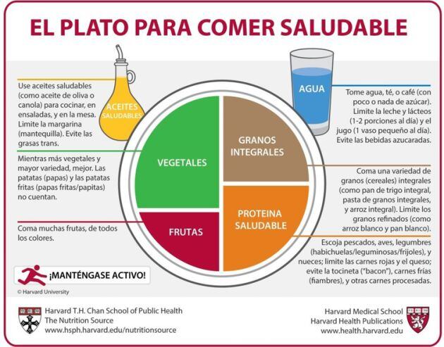 El plato saludable diseñado por Harvard.