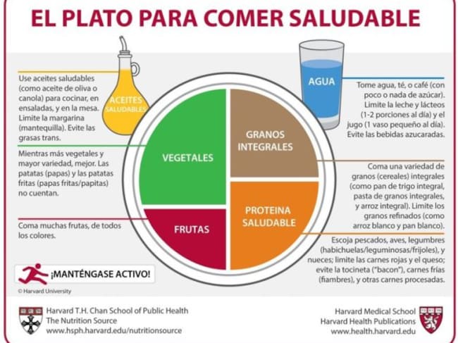 El plato saludable diseñado por Harvard.