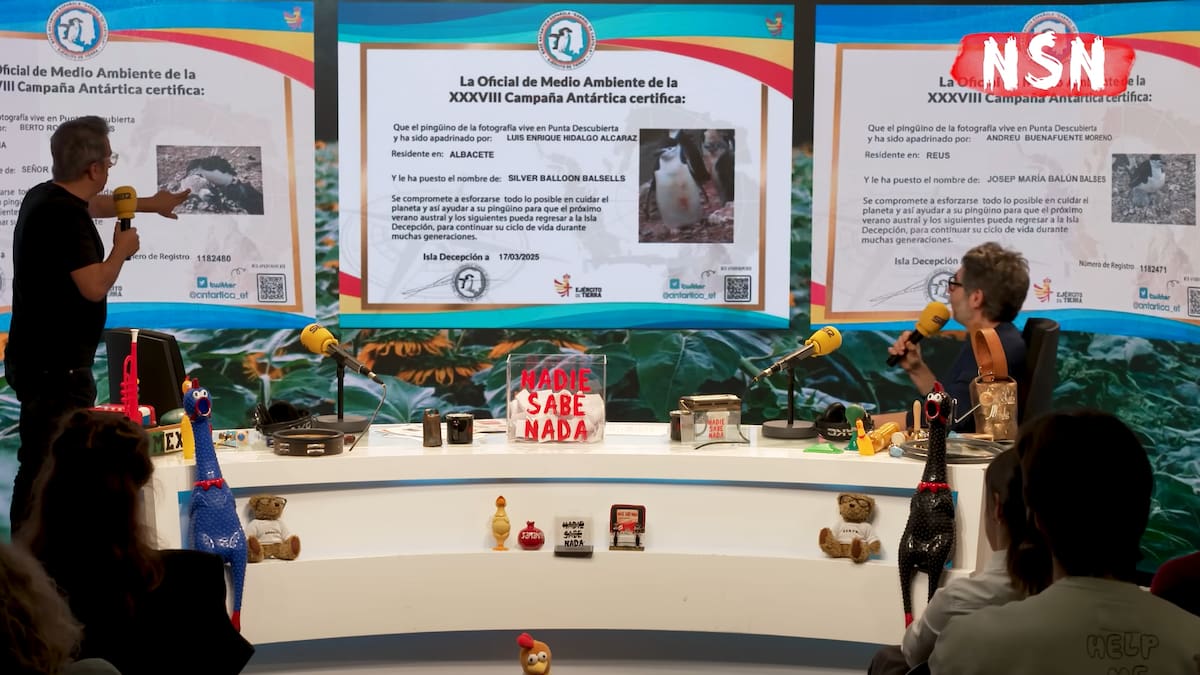Los pingüinos apadrinados por Andreu y Berto