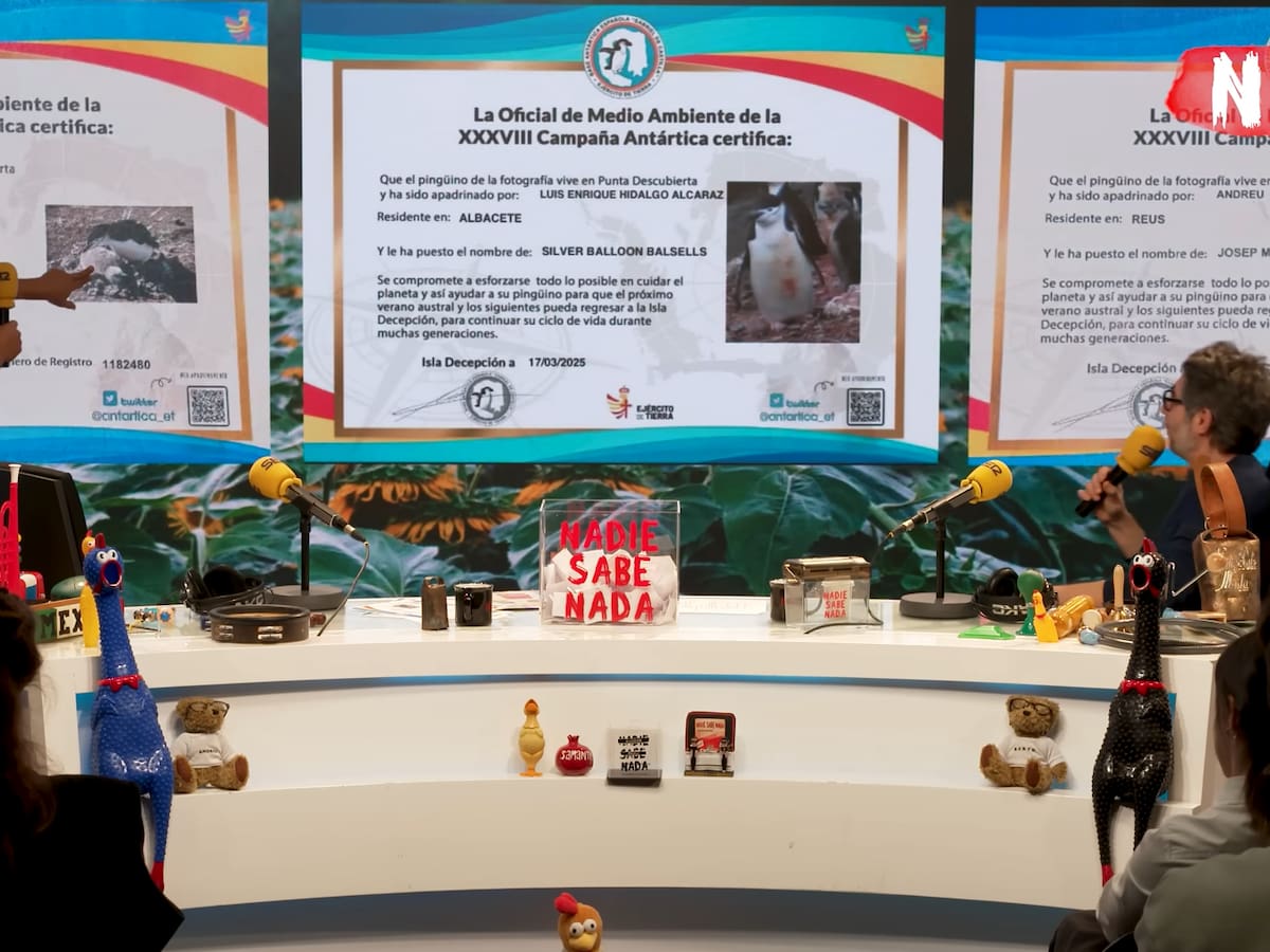 Berto y Buenafuente adoptan (sin saberlo) a tres pingüinos de la Antártida