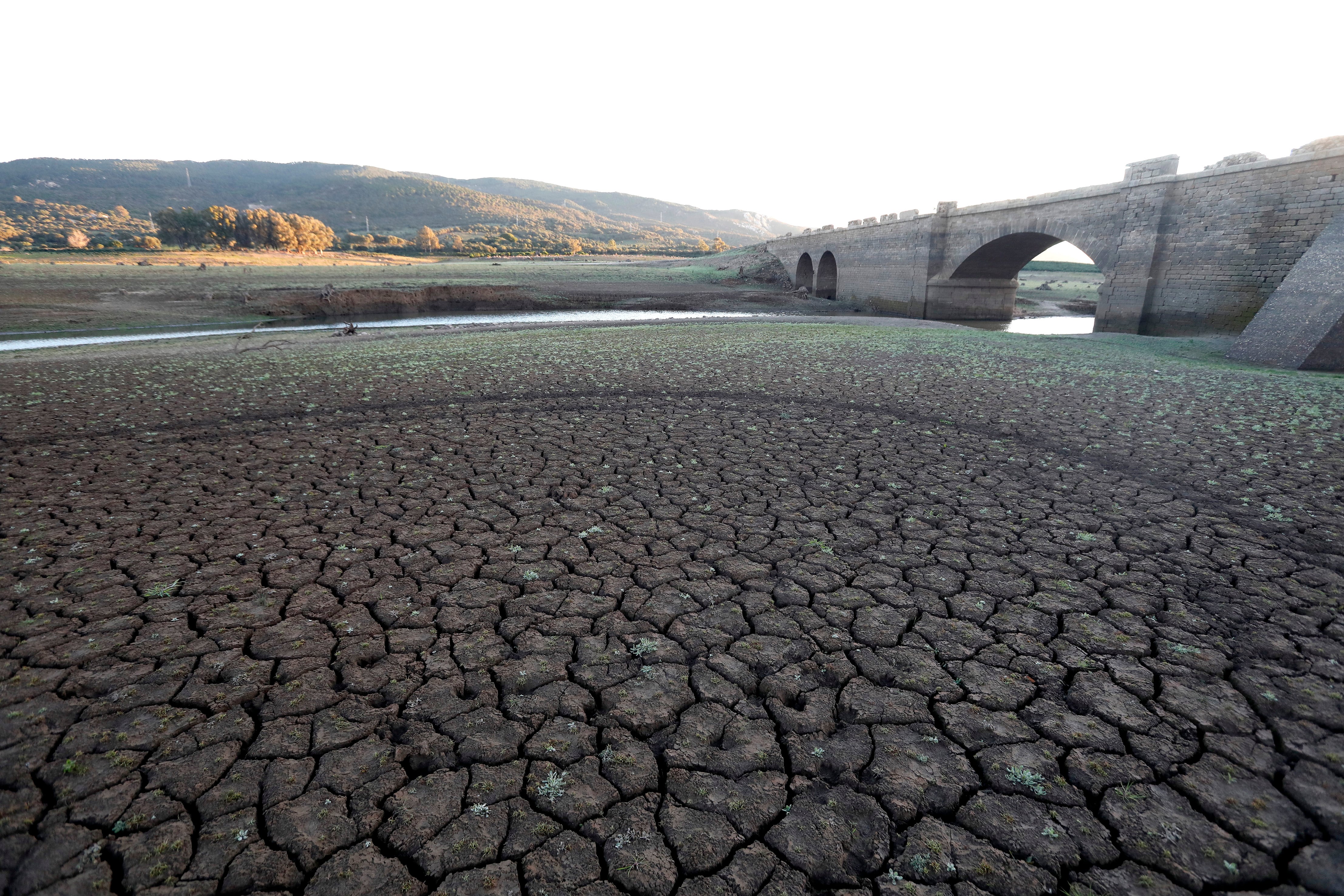 GRAFAND7927. LOS BARRIOS(CÁDIZ), 08/01/2024.-Las poblaciones del Campo de Gibraltar comenzaran con los cortes en el suministro de agua este miércoles día 10 por motivo de la gran sequía que azota la zona. En la foto, el embalse de Charco Redondo en el término municipal de Los Barrios (Cádiz).EFE/A.Carrasco Ragel.