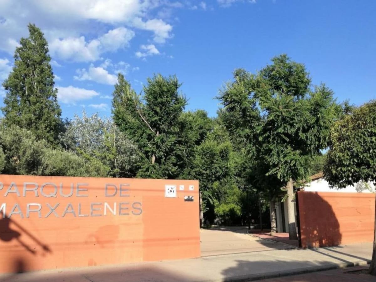 Las rachas de viento alcanzan los 109 km/h en La Font de la Figuera