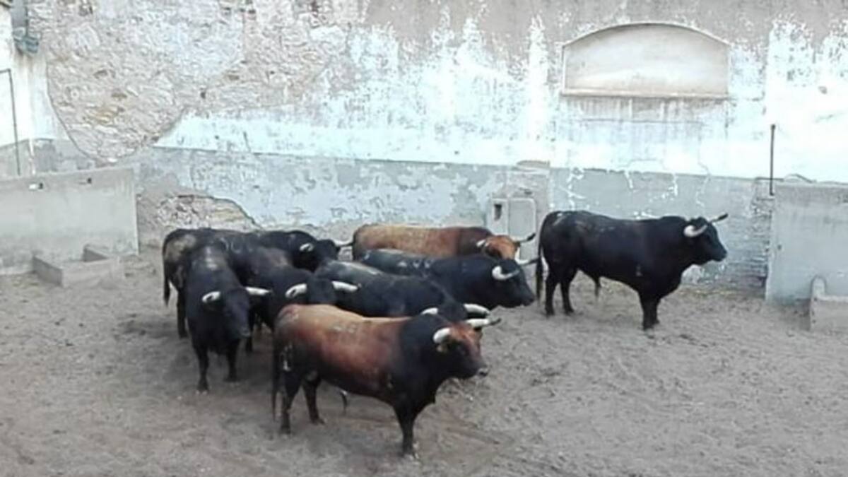 Turno para los caballeros