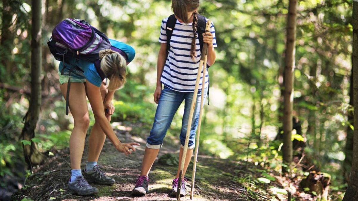 Las garrapatas: sus riesgos, cómo evitarlas y qué hacer si nos pican