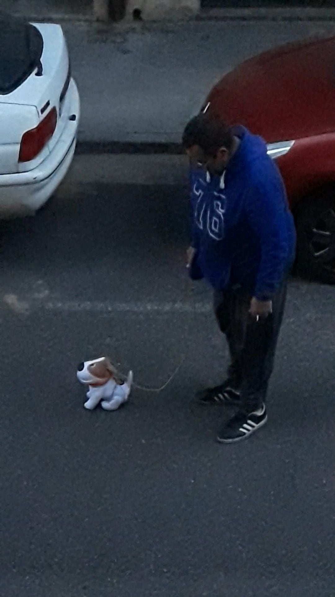 Esta palentino niega haber sacado a pasear un perro de peluche en estado de alarma. Sólo fue un breve gesto para hacer sonreír a su hijo que le observaba desde el balcón, ha señalado a Radio Palencia