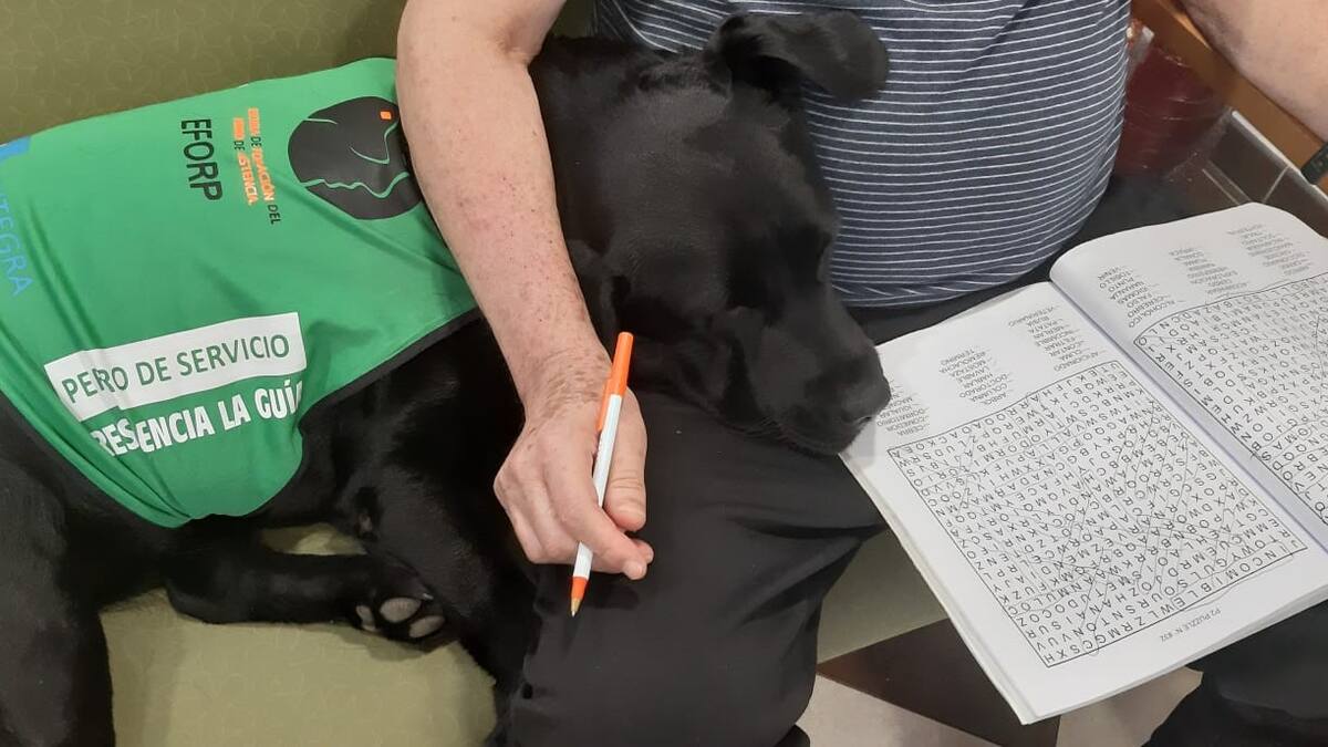 La supervisora de la residencia La Guía habla de la perra Mina