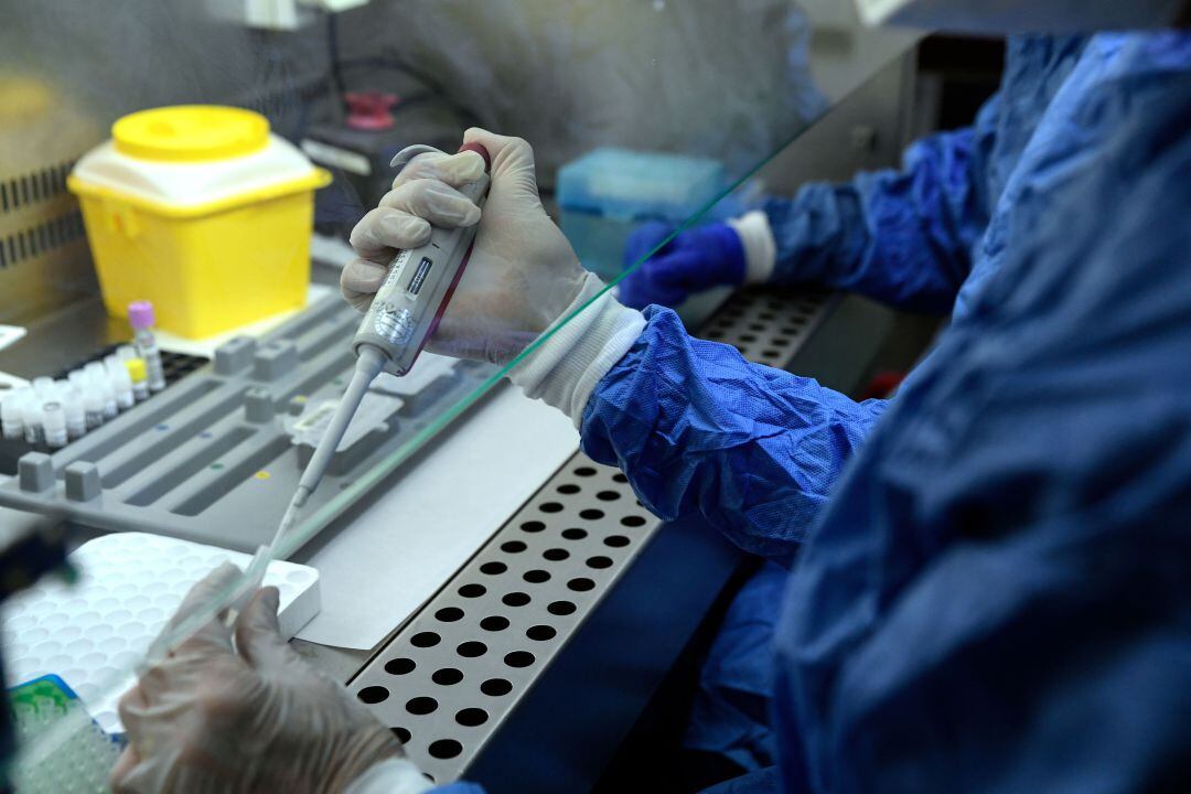 Técnicos trabajando en un laboratorio con pruebas PCR. 