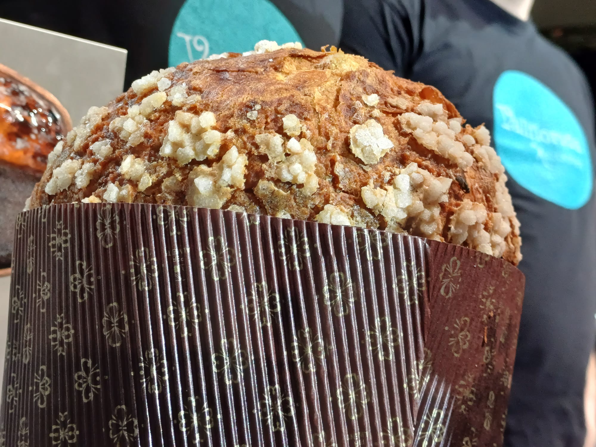 El Mejor Panettone Artesano de España 2023.