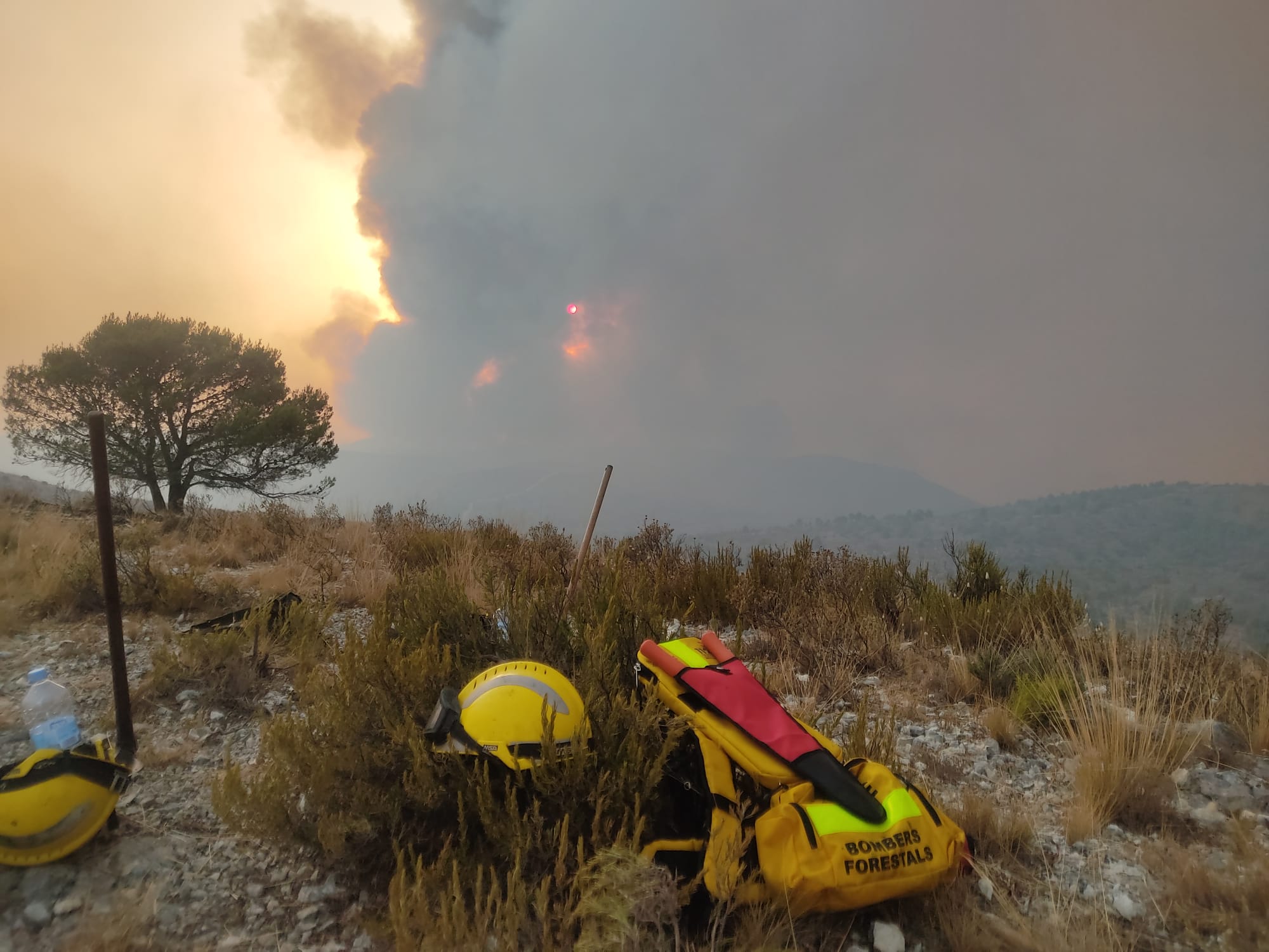 Trabajos de los bomberos forestales de la Generalitat