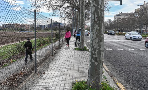 Avenida Hermanos Machado donde se va a construir los nuevos carriles bici desde València hasta Tavernes Blanques y Burjassot