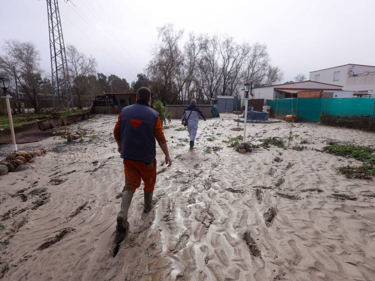 Sadeco comienza la limpieza tras las inundaciones y aclara que no actuará dentro de parcelas privada