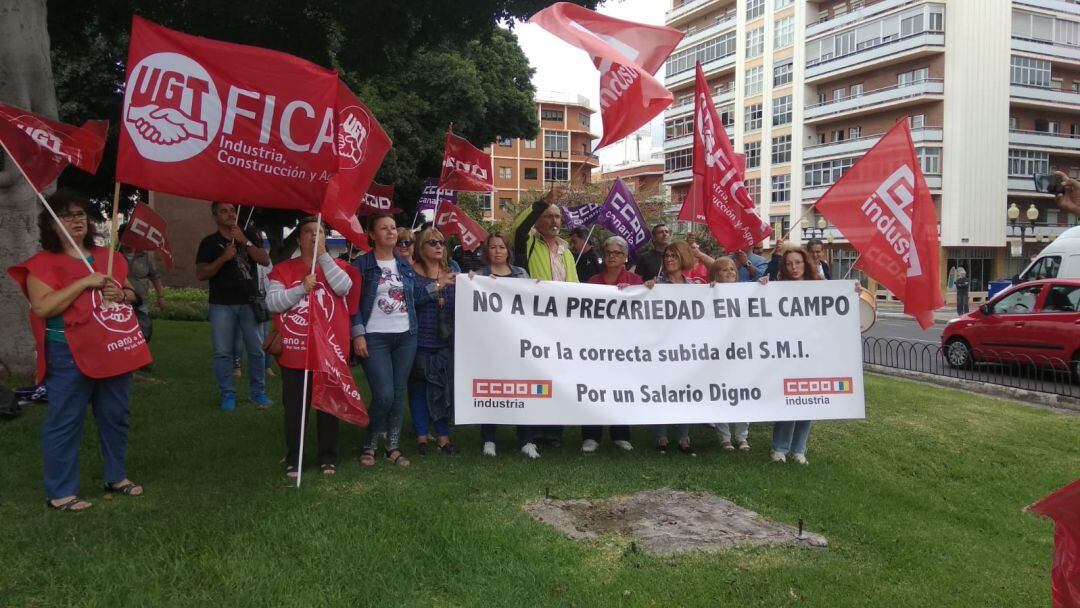 Concentración de trabajadores del sector agrícola en Las Palmas de Gran Canaria. 