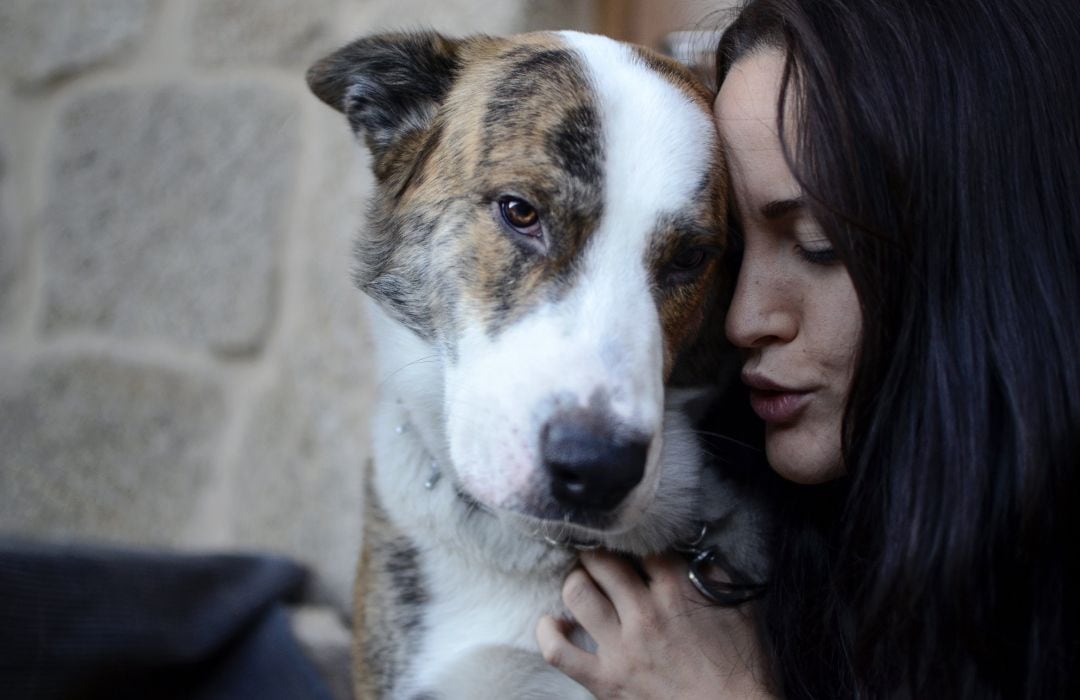 Sanlúcar celebra el sábado la II Feria de Adopciones