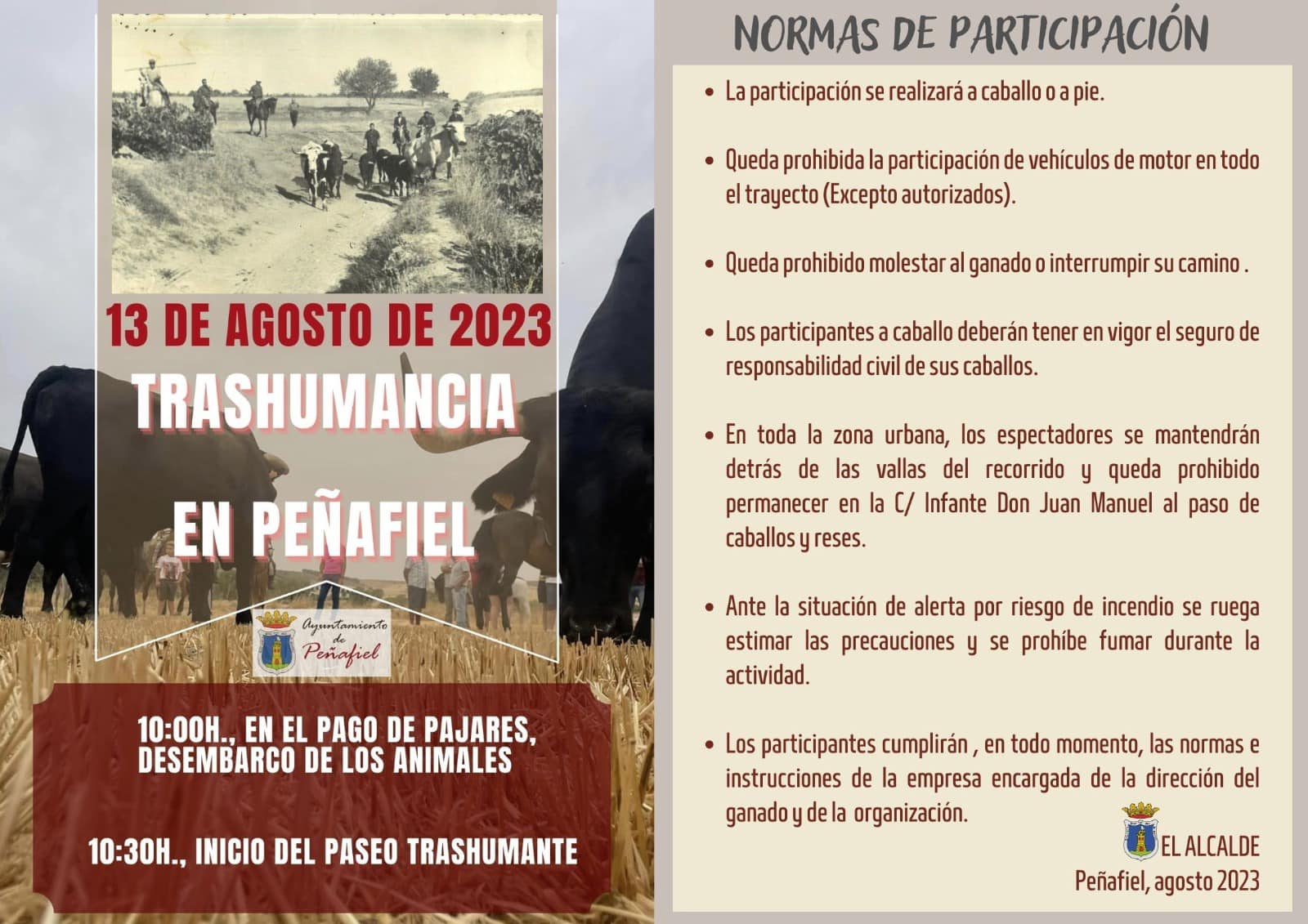 Las normas para poder participar con responsabilidad del acto de la trashumancia en Peñafiel