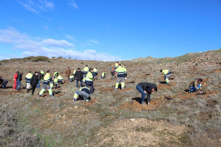 Trabajadores del Servicio Municipal de Agua Potable de Zamora plantan árboles en Valderrey