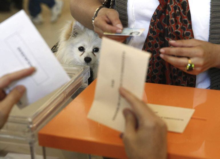 Detalle de una urna de un colegio electoral de Aravaca, con los primeros votos al inicio de los comicios municipales y autonómicos que se celebran hoy