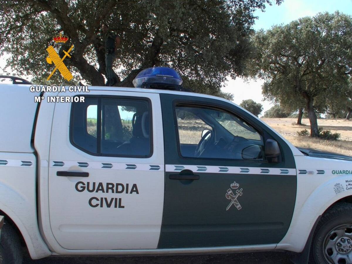 Una inspección en un local de peleas de gallo en Fuentes de Andalucía acaba con más de 30 denuncias
