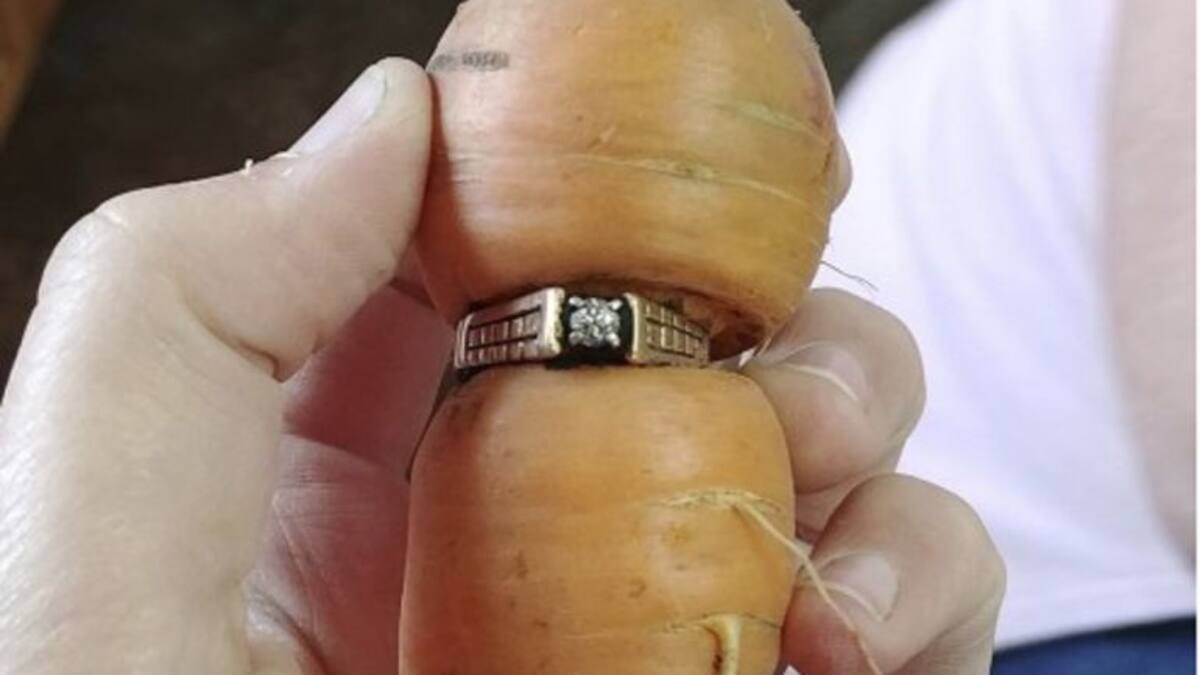 La zanahoria y el anillo perdido hace 13 años