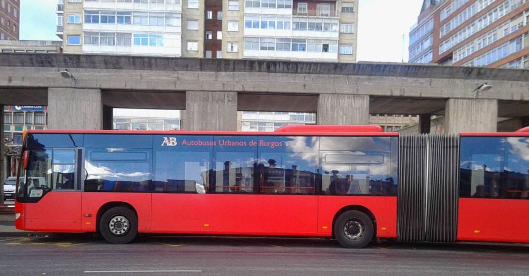 Autobuses urbanos