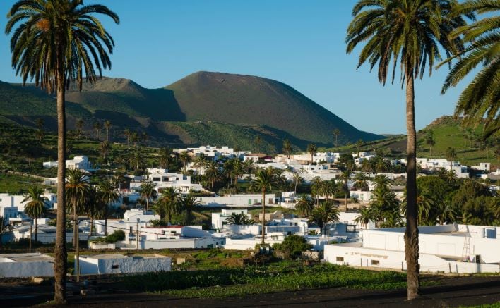 Palmeral de Haría, en el norte de Lanzarote.