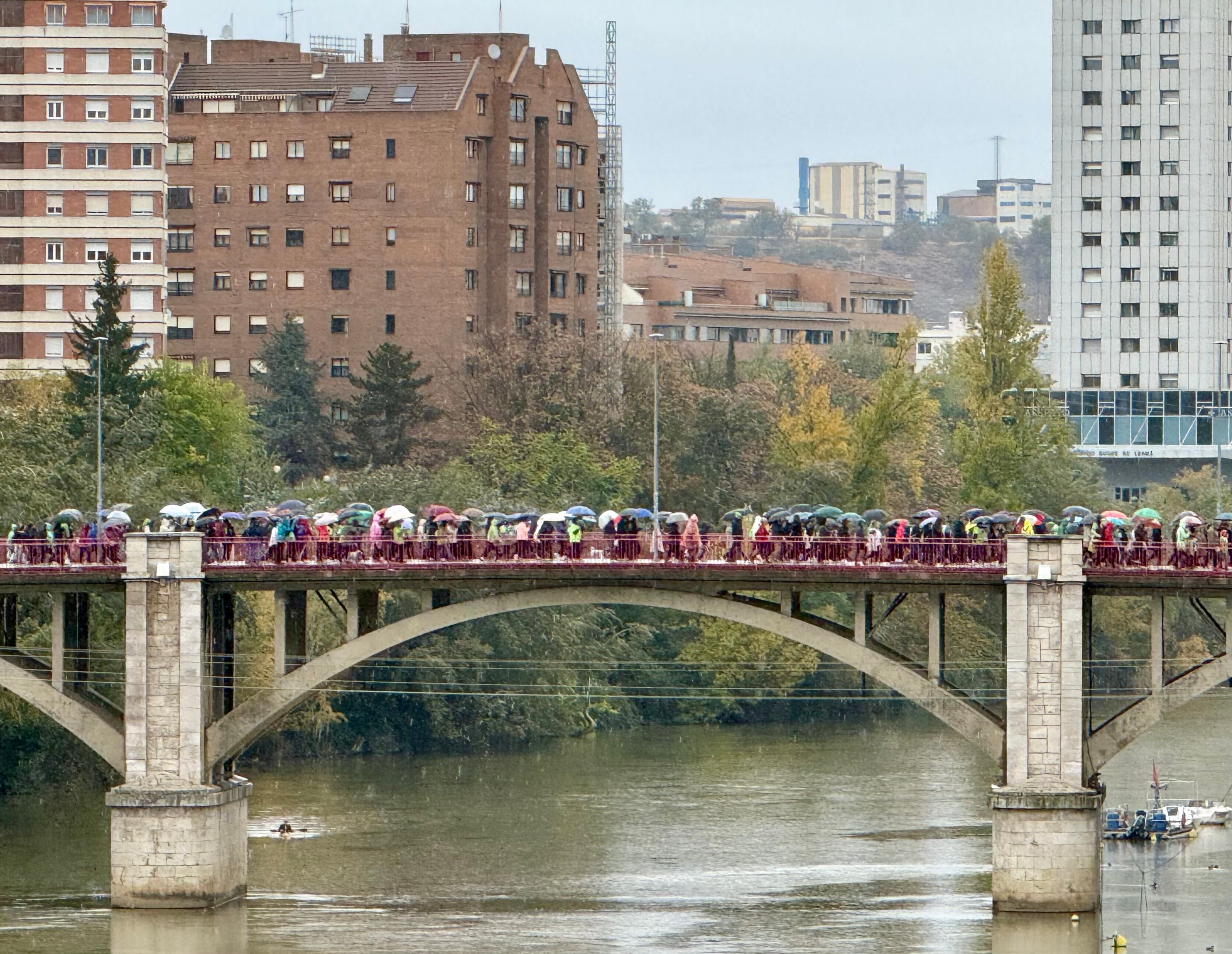 Celebración de la XIII Valladolid en Marcha contra el Cáncer