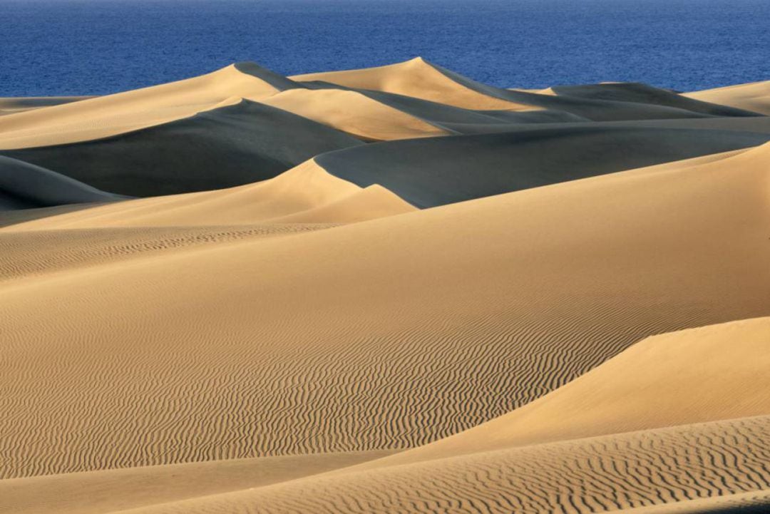 Dunas de Maspalomas