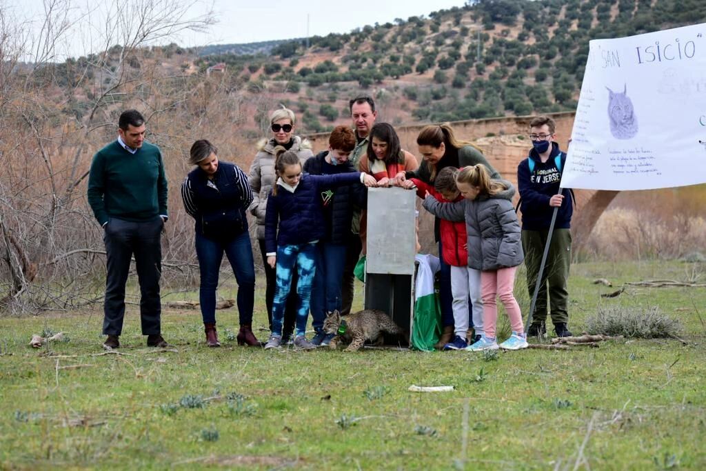 La directora general de Medio Natural, Biodiversidad y Espacios Protegidos, Araceli Cabello; y las delegadas territoriales de Desarrollo Sostenible y de Agricultura, Ganadería y Pesca en Jaén, María José Lara y Soledad Aranda, respectivamente, durante la suelta de un lince en Úbeda.