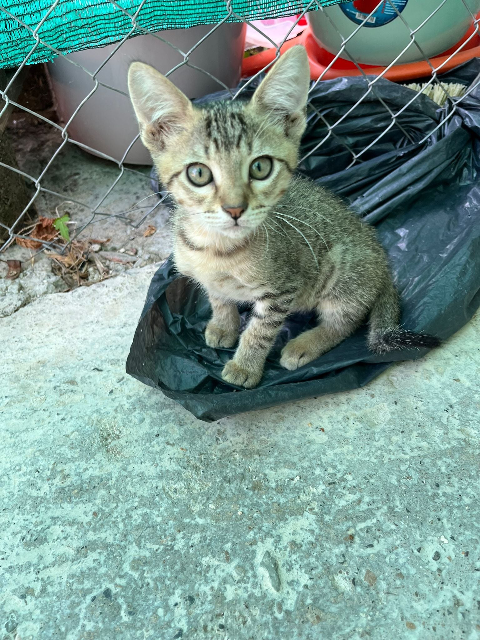 Voluntariado Ayuntamiento de Binéfar