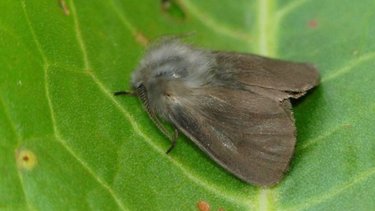 Entrevista a Yeray Monasterio (10/09/2020)