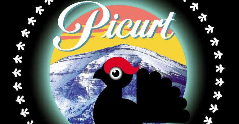 Cartell de la novena edició del Picurt, la Mostra de Cinema de Muntanya dels Pirineus.