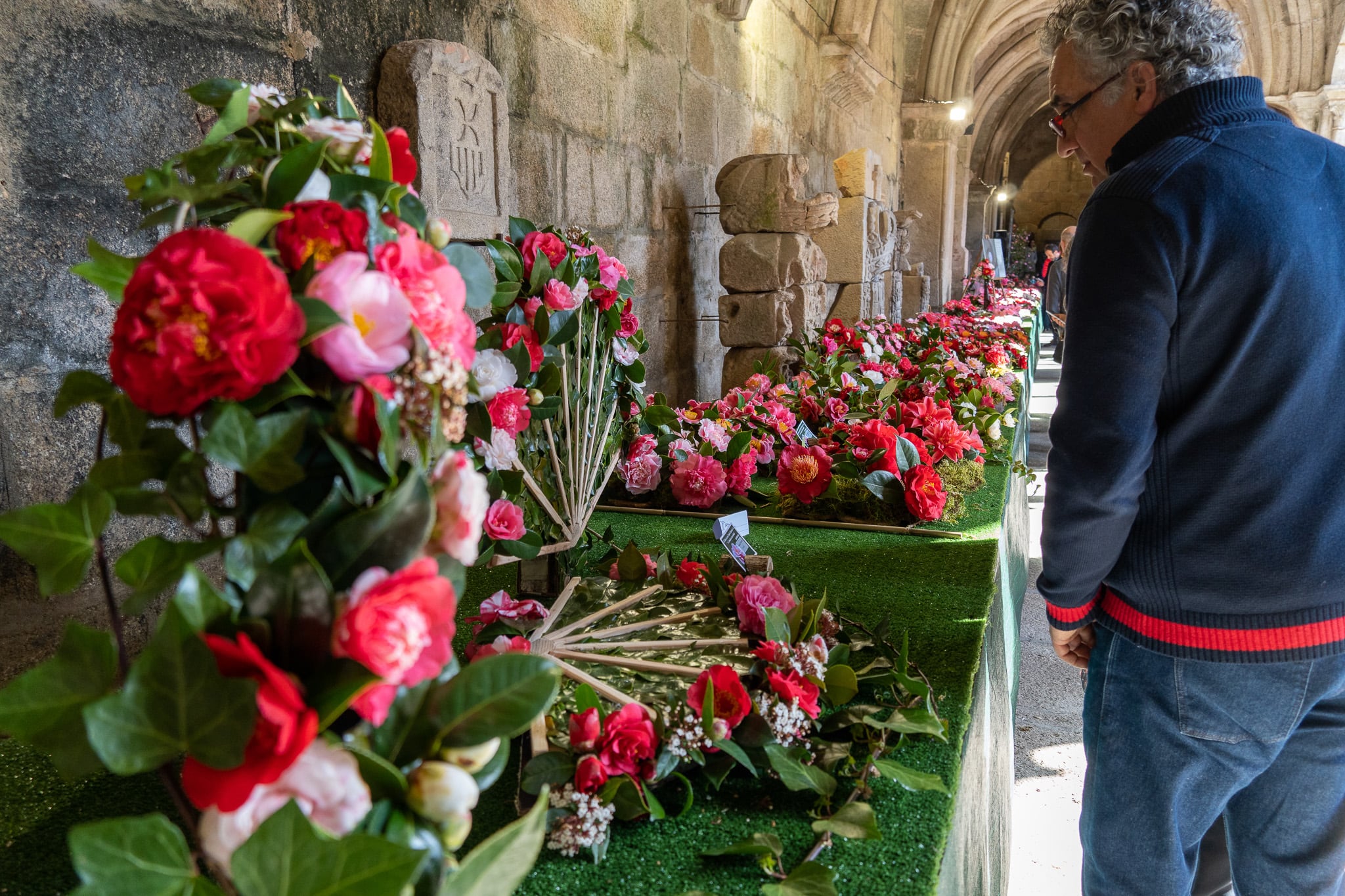 Mostra da Camelia de Tui en el claustro de la Catedral, en la edición anterior