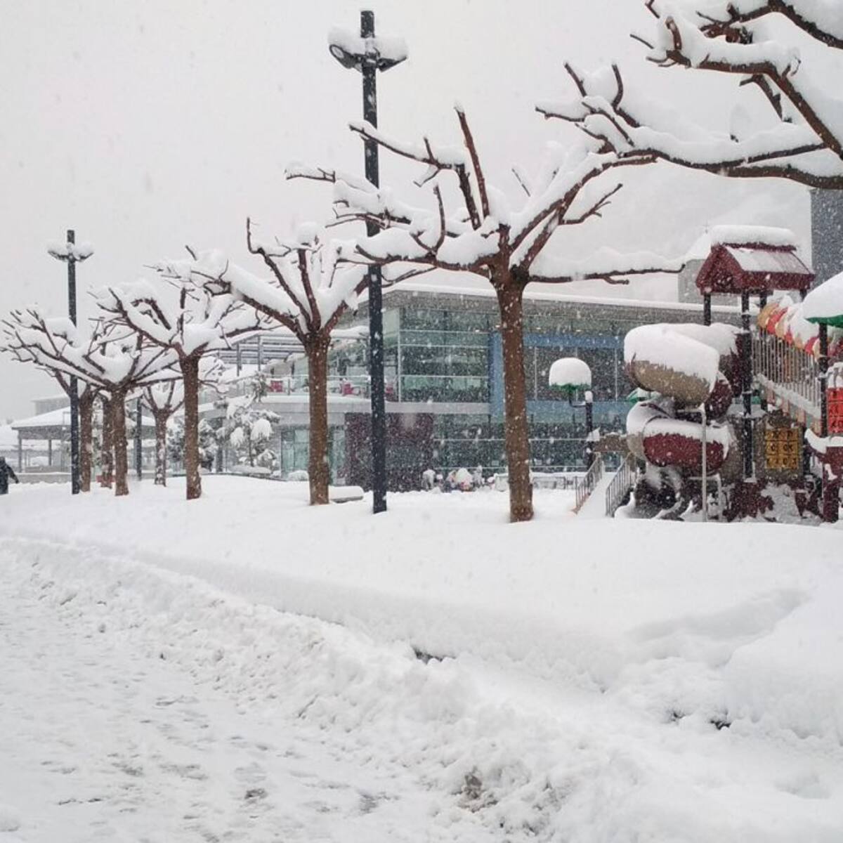 Les gelades previstes per a aquesta matinada empitjoraran la circulació