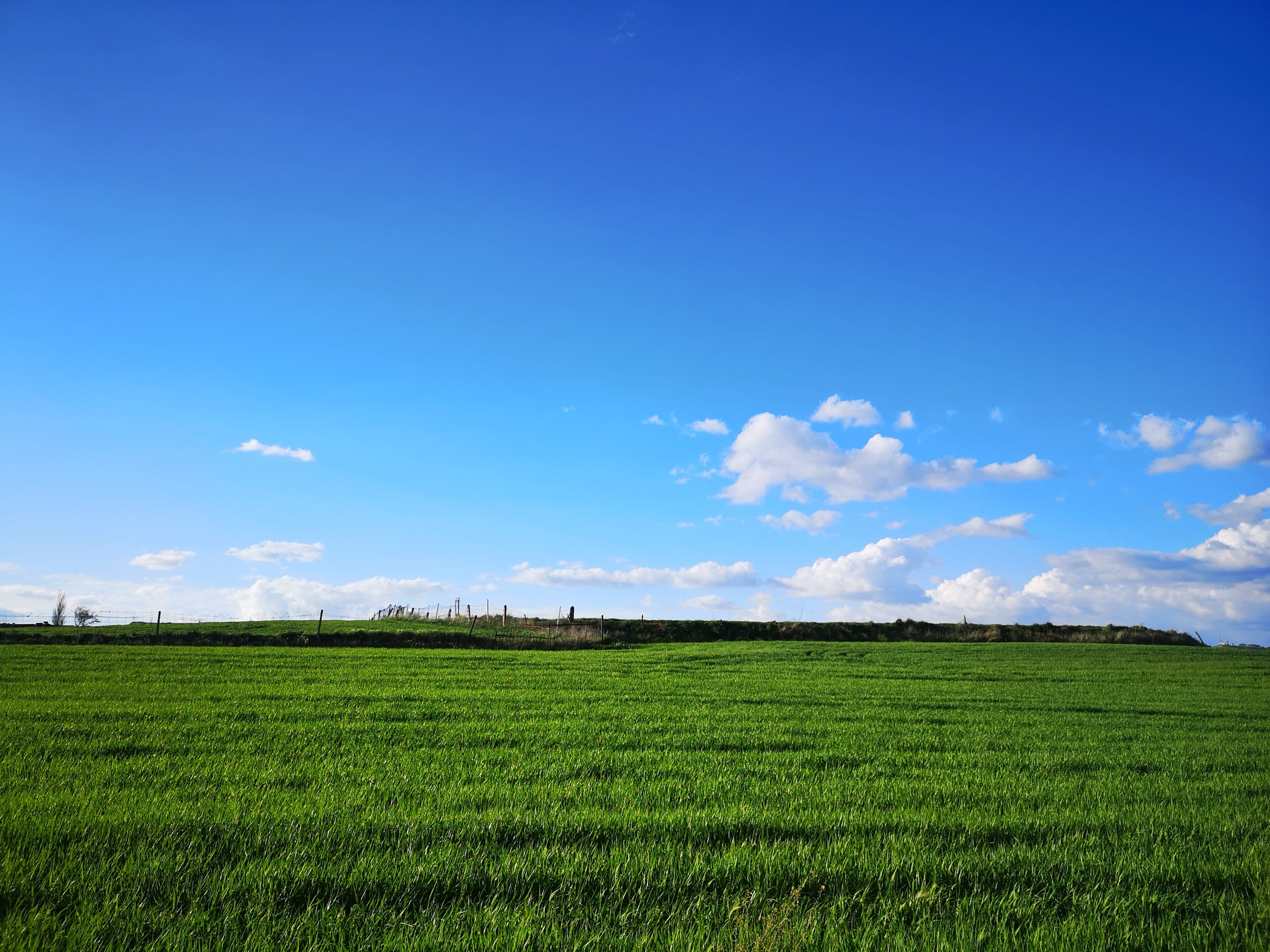 Una vez pasadas las primeras casas comenzamos a ver unos terrenos de campos de cultivo que ahora mismo se encuentra totalmente de color verde.