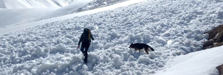Momento de la búsqueda realizada por la Guardia Civil 