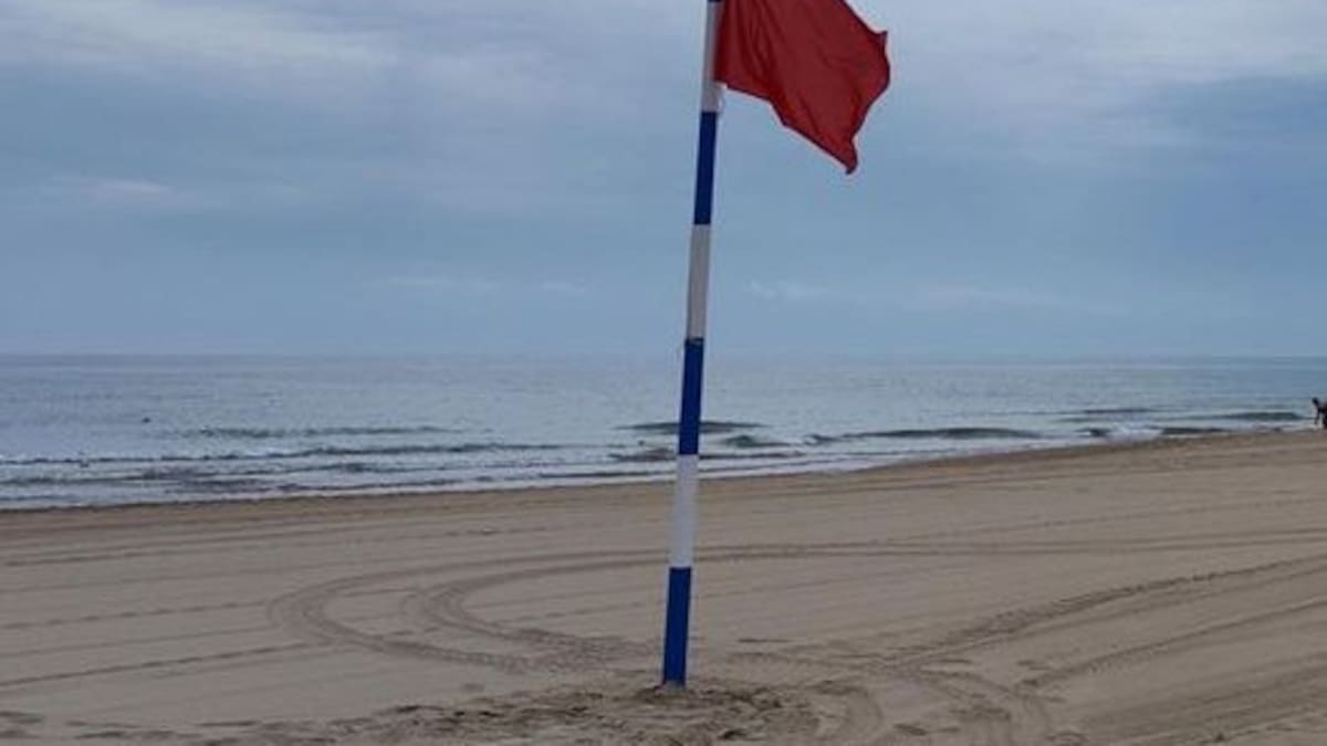 Cerrada al baño la playa de Venècia por un análisis desfavorable de las aguas